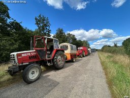 web 390
